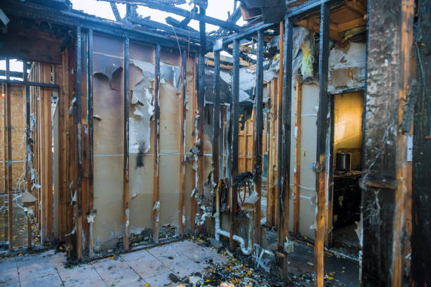 Professional Smoke Damage Removal technician working in Hanover, MN